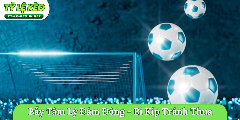 Bẫy tâm lý đám đông
