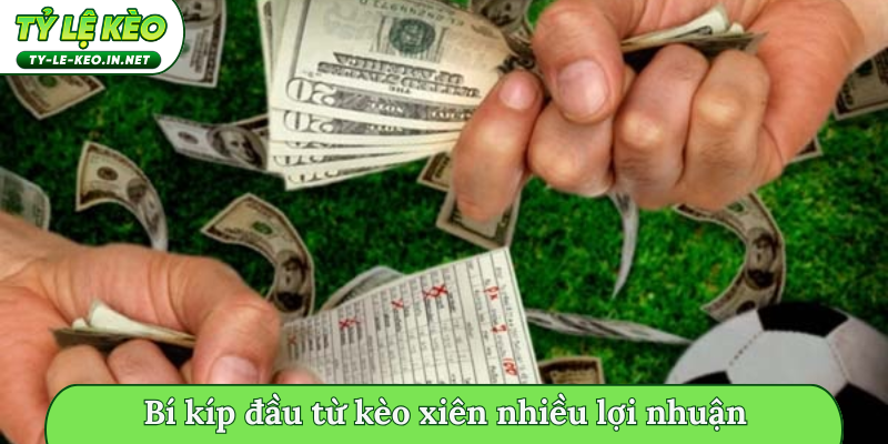 Bí kíp đầu từ kèo xiên nhiều lợi nhuận