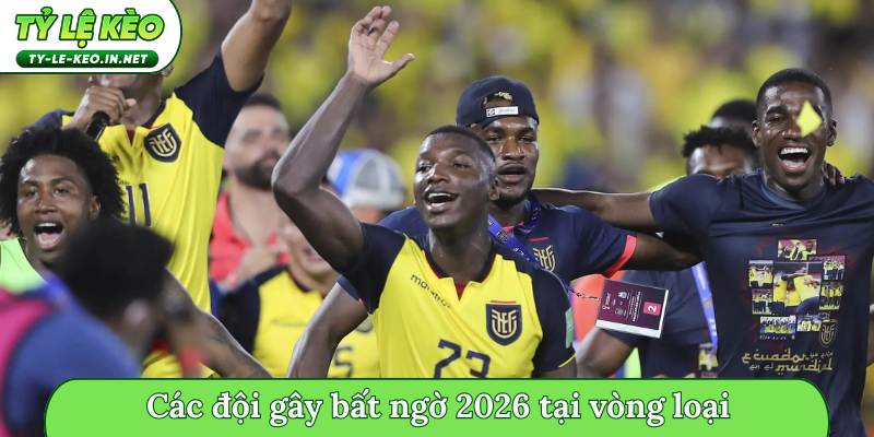 Các đội gây bất ngờ 2026 tại vòng loại