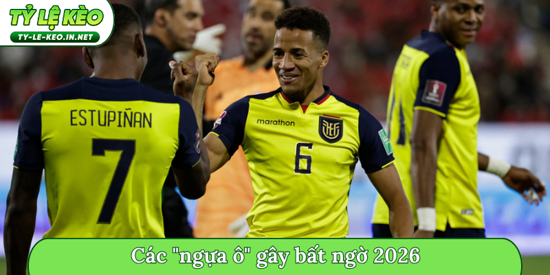 Các _ngựa ô_ gây bất ngờ 2026