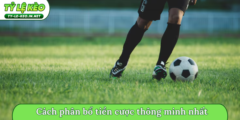 Cách phân bổ tiền cược thông minh nhất