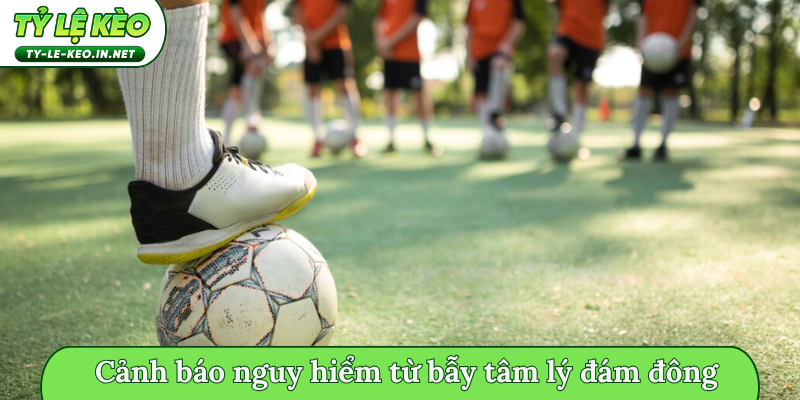 Cảnh báo nguy hiểm từ bẫy tâm lý đám đông