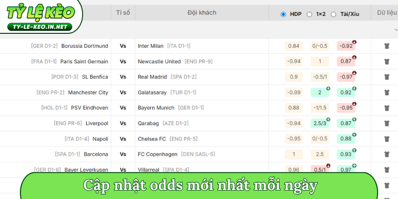 Cập nhật odds mới nhất mỗi ngày