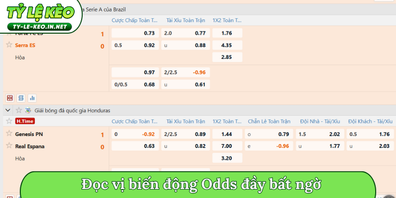 Đọc vị biến động Odds đầy bất ngờ