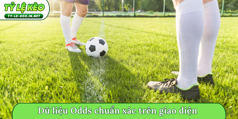 Dữ liệu Odds chuẩn xác trên giao diện