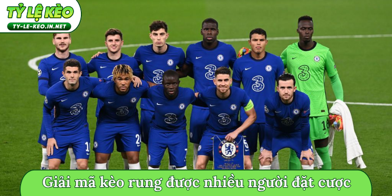 Giải mã kèo rung được nhiều người đặt cược