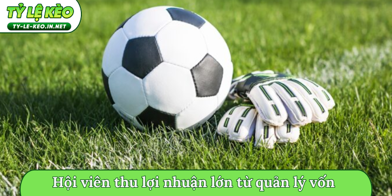 Hội viên thu lợi nhuận lớn từ quản lý vốn
