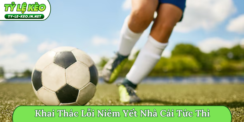 Khai thác lỗi niêm yết nhà cái