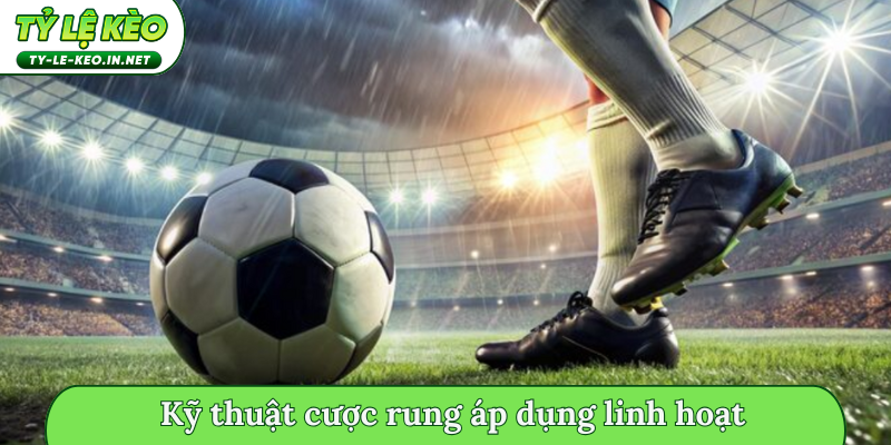 Kỹ thuật cược rung áp dụng linh hoạt