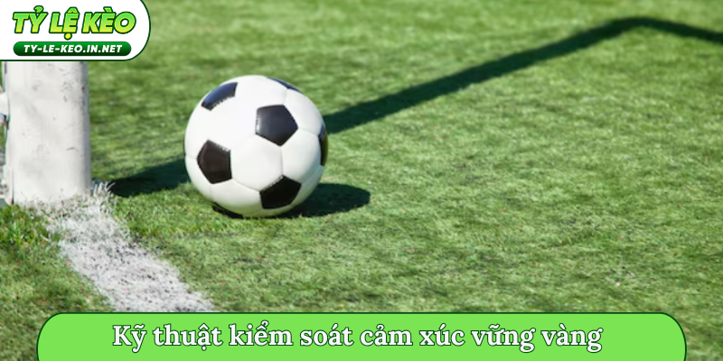 Kỹ thuật kiểm soát cảm xúc vững vàng