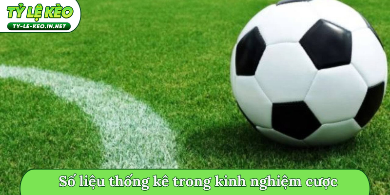 Số liệu thống kê trong kinh nghiệm cược