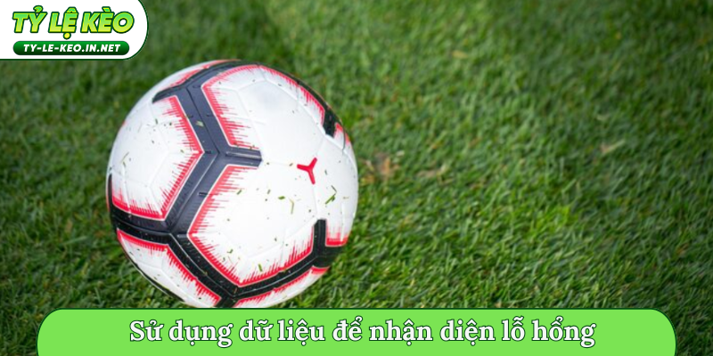 Sử dụng dữ liệu để nhận diện lỗ hổng