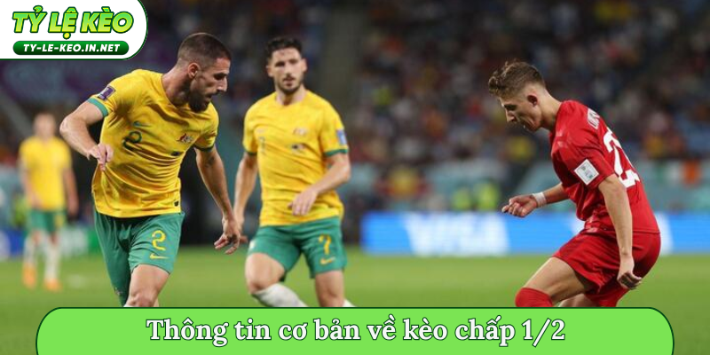 Thông tin cơ bản về kèo chấp 1/2