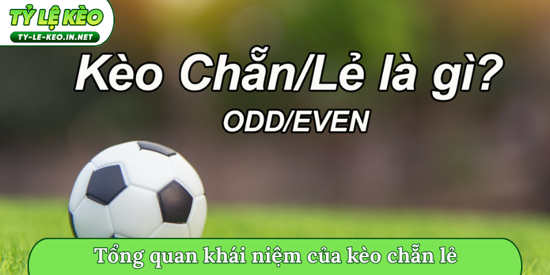Tổng quan khái niệm của kèo chẵn lẻ