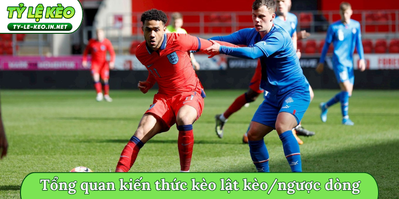 Tổng quan kiến thức kèo lật kèo/ngược dòng