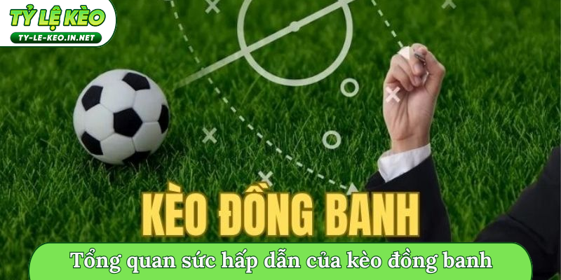 Tổng quan sức hấp dẫn của kèo đồng banh