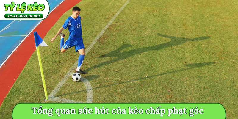 Tổng quan sức hút của kèo chấp phạt góc